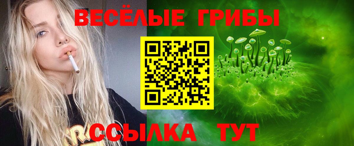 Галлюциногенные грибы Psilocybine cubensis Миасс