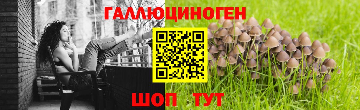 Галлюциногенные грибы GOLDEN TEACHER  Вход с VPN  Миасс 